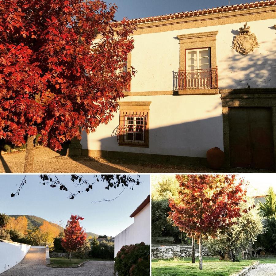 Quinta Da Porta - Solar De Vale De Prazeres Villa Exterior photo